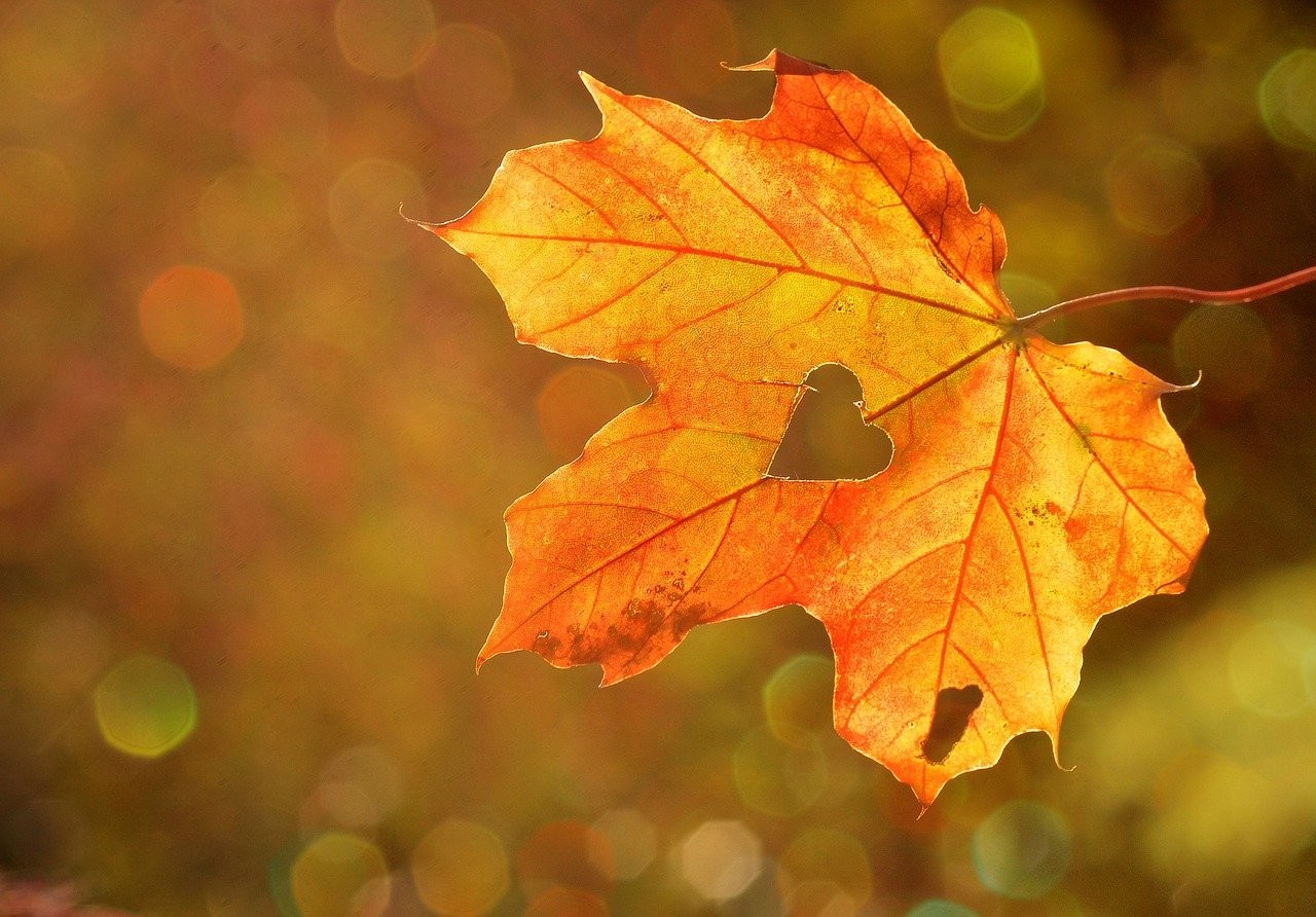 Herbstblues – 4 Tipps für mehr Freude